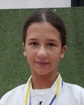 DZANA SEHIC